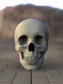 Czaszki - Skull7.jpg