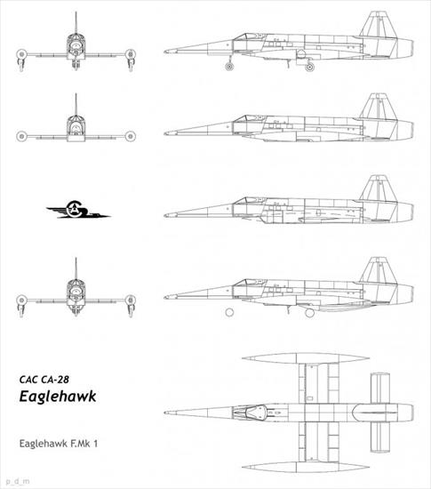 eaglehawk fmk 1 - CAC CA-28 Eaglehawk-02-01-680x771.jpg