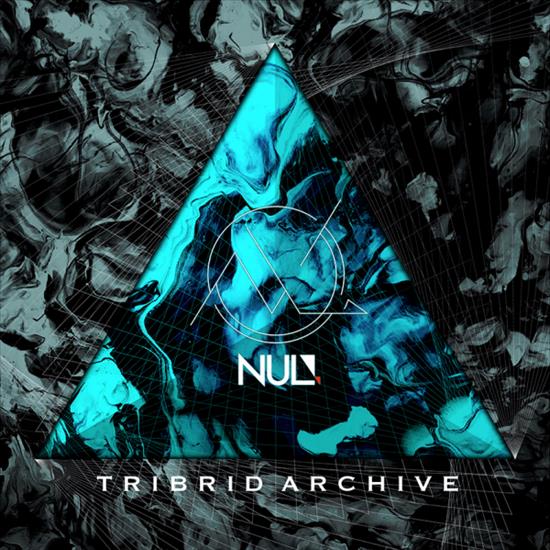 NUL - TRIBRID ARCHIVE - 55511.png