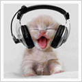 Zwierzęta - kot ze słuchawkami.gif