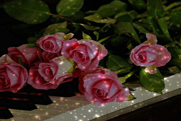 Róże - 432.jpg